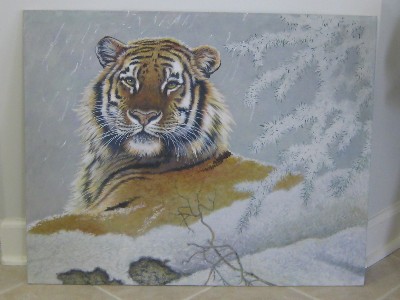 siberian tiger